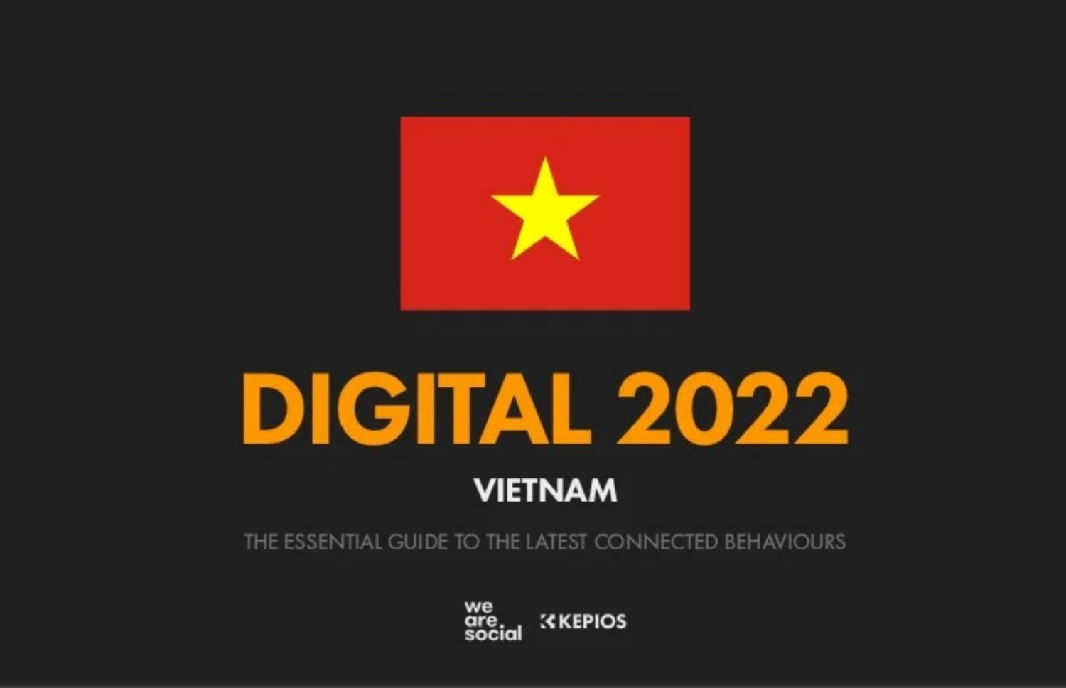 Digital Market 2022: Việt Nam